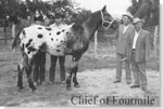 Chief of Fourmile