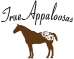 True Appaloosas - Logo