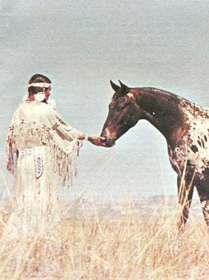 The Palouse Horse